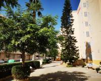 Wederverkoop - Apartment - Guardamar Del Segura - 