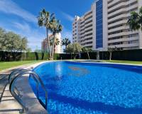 Wederverkoop - Apartment - Guardamar Del Segura - 