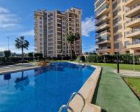 Wederverkoop - Apartment - Guardamar Del Segura - 