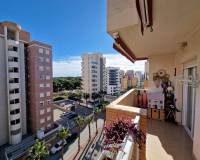 Wederverkoop - Apartment - Guardamar Del Segura - 
