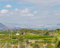 Wederverkoop - Apartment - Jacarilla