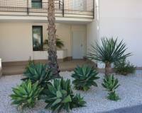 Wederverkoop - Apartment - Monforte del Cid - Font del Llop