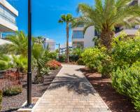 Wederverkoop - Apartment - Orihuela Costa - Los Dolses