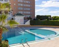 Wederverkoop - Apartment - Torrevieja - La Mata
