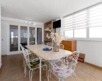 Wederverkoop - Apartment - Torrevieja - Playa del Cura