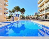 Wederverkoop - Apartment - Torrevieja - Rocio del Mar