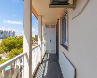 Wederverkoop - Apartment - Torrevieja - Rocio del Mar