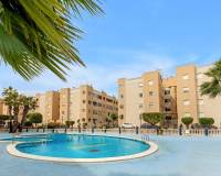 Wederverkoop - Apartment - Torrevieja - San Luis