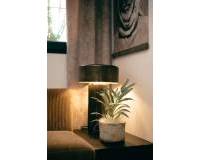 Wederverkoop - Apartment - Torrevieja