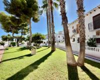 Wederverkoop - Apartment - Torrevieja