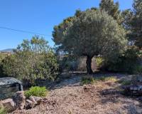 Wederverkoop - Building Plot - Benissa - Buenavista