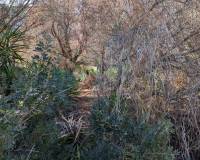 Wederverkoop - Building Plot - Denia - Don Quijote