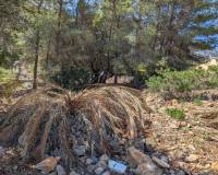 Wederverkoop - Building Plot - Denia - Don Quijote