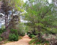Wederverkoop - Building Plot - Denia - La Pedrera