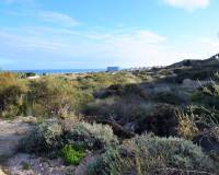 Wederverkoop - Building Plot - Guardamar Del Segura - Los Secanos