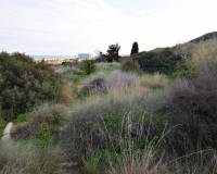 Wederverkoop - Building Plot - Guardamar Del Segura - Los Secanos