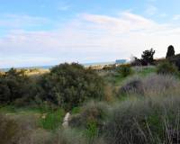 Wederverkoop - Building Plot - Guardamar Del Segura - Los Secanos