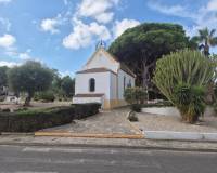 Wederverkoop - Bungalow - Torrevieja - Lago jardin
