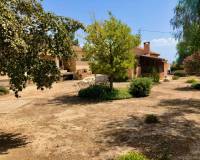 Wederverkoop - Finca - Country Property - Catral