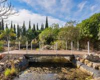 Wederverkoop - Finca - Country Property - Catral