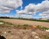 Wederverkoop - Finca - Country Property - Dolores