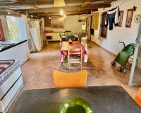 Wederverkoop - Finca - Country Property - Guardamar Del Segura - Guardamar del Segura