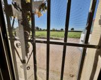 Wederverkoop - Finca - Country Property - Guardamar Del Segura - Guardamar del Segura