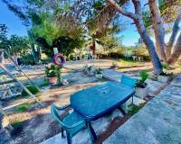 Wederverkoop - Finca - Country Property - Guardamar Del Segura - Guardamar del Segura