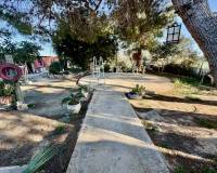 Wederverkoop - Finca - Country Property - Guardamar Del Segura - Guardamar del Segura