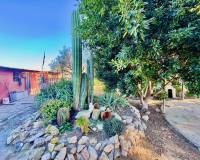 Wederverkoop - Finca - Country Property - Guardamar Del Segura - Guardamar del Segura