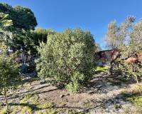 Wederverkoop - Finca - Country Property - Guardamar Del Segura - Guardamar del Segura