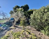 Wederverkoop - Finca - Country Property - Guardamar Del Segura - Guardamar del Segura