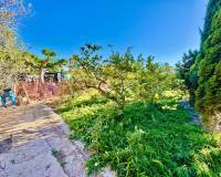 Wederverkoop - Finca - Country Property - Guardamar Del Segura - Guardamar del Segura