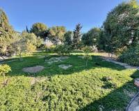 Wederverkoop - Finca - Country Property - Guardamar Del Segura - Guardamar del Segura