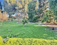 Wederverkoop - Finca - Country Property - Guardamar Del Segura - Guardamar del Segura