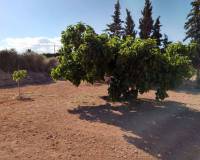 Wederverkoop - Finca - Country Property - Murcia - Valle Del Sol