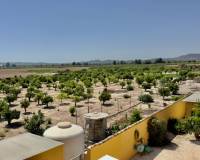 Wederverkoop - Finca - Country Property - Orihuela Costa - Orihuela