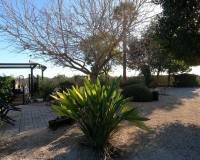 Wederverkoop - Finca - Country Property - Orihuela Costa - Orihuela