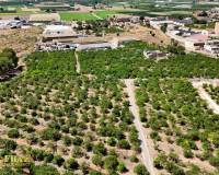 Wederverkoop - Finca - Country Property - Orihuela Costa - Orihuela