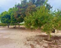 Wederverkoop - Finca - Country Property - Rojales - Cuidad Quesada