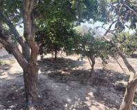 Wederverkoop - Finca - Country Property - Rojales - Cuidad Quesada