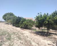 Wederverkoop - Finca - Country Property - Rojales - Cuidad Quesada