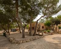 Wederverkoop - Finca - Country Property - Torremendo