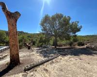 Wederverkoop - Finca - Country Property - Torremendo