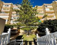 Wederverkoop - Penthouse - La Mata - Alanis