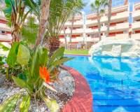 Wederverkoop - Penthouse - Orihuela Costa - Punta Prima