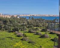 Wederverkoop - Penthouse - Torrevieja - Punta Prima