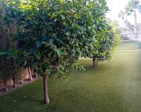 Wederverkoop - Villa - Algorfa - La Finca Golf