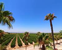 Wederverkoop - Villa - Algorfa - La Finca Golf