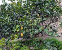 Wederverkoop - Villa - Benissa - Fanadix